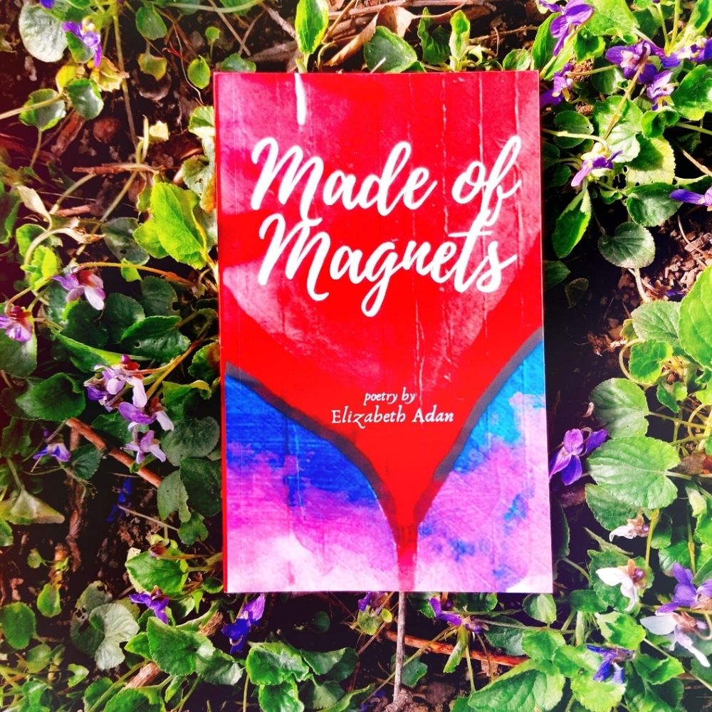 🆕️Signed Poetry Book - Made of Magnets